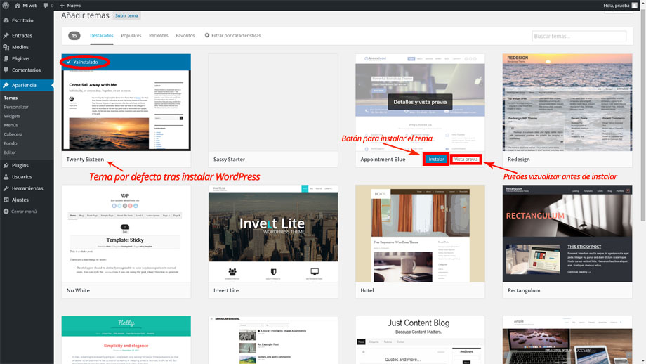 visualizar_instalar_tema